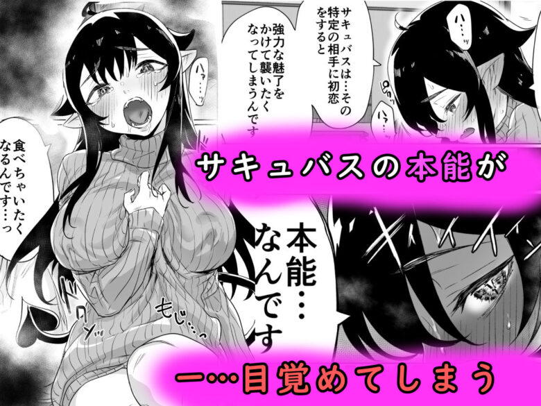 就活失敗したサキュバスさんを拾いました 3枚目