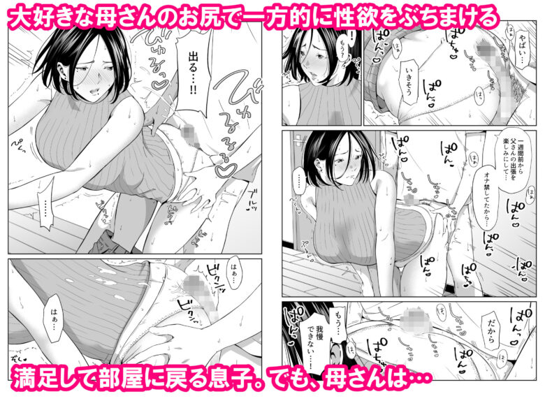 僕の大好きな母さんと思う存分セックスできる日 2枚目