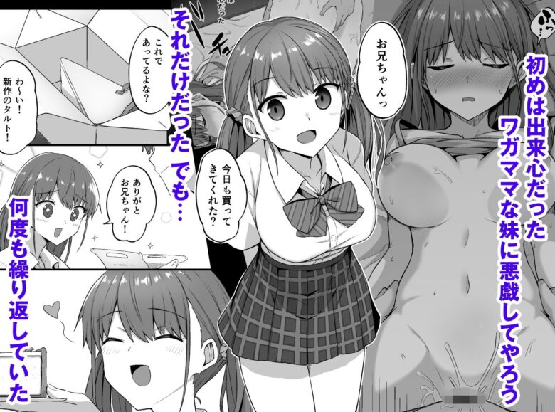 ワガママ妹オナホ化計画〜眠る妹を開発調教〜 3枚目