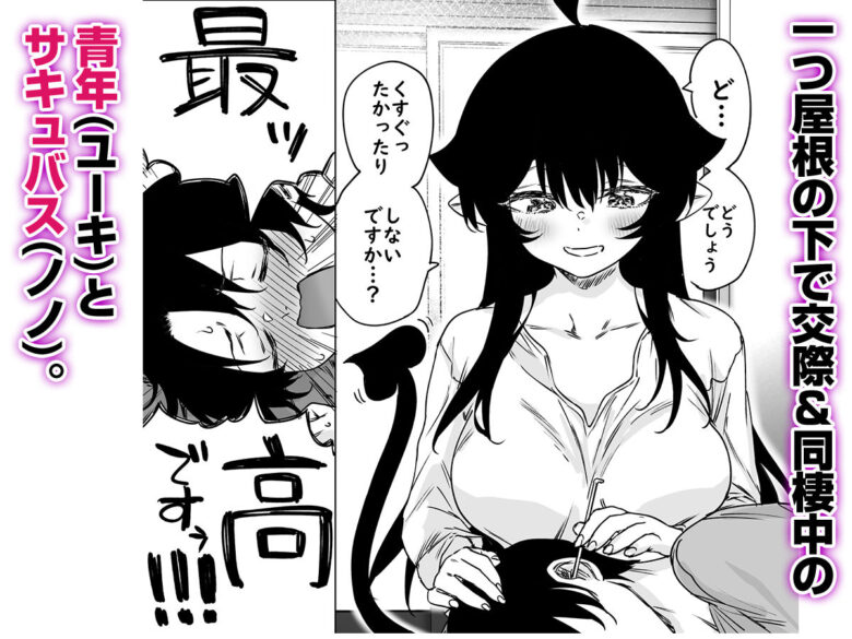 就活失敗したサキュバスさんを拾いました2 -上巻- 1枚目