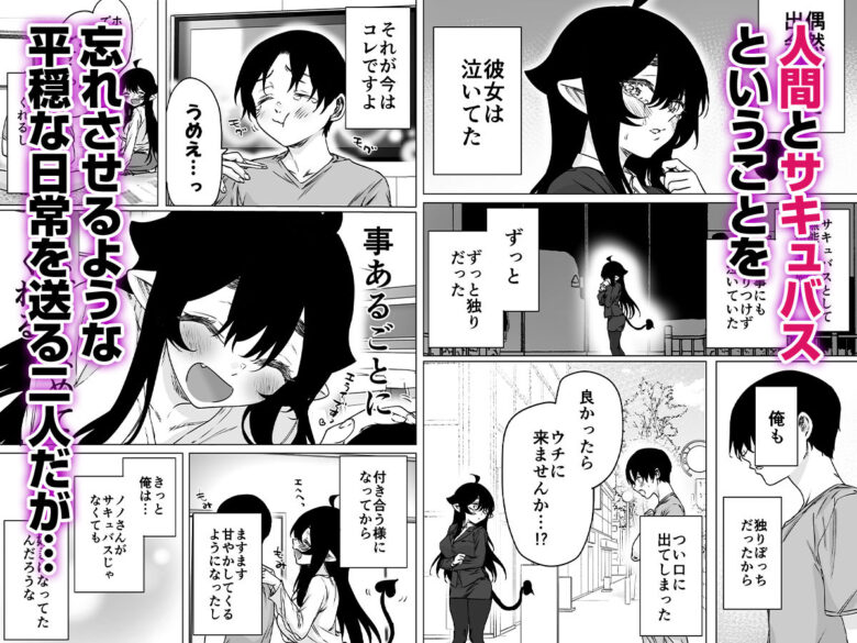 就活失敗したサキュバスさんを拾いました2 -上巻- 2枚目